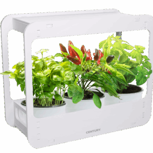 BIOGIARDINO LED